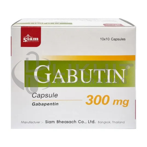 GABUTIN 300MG. 10X10'S