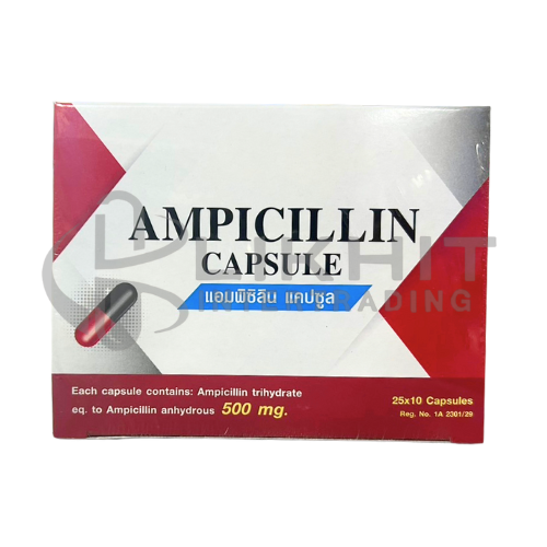 AMPICILLIN 500MG AU 25X10'S  