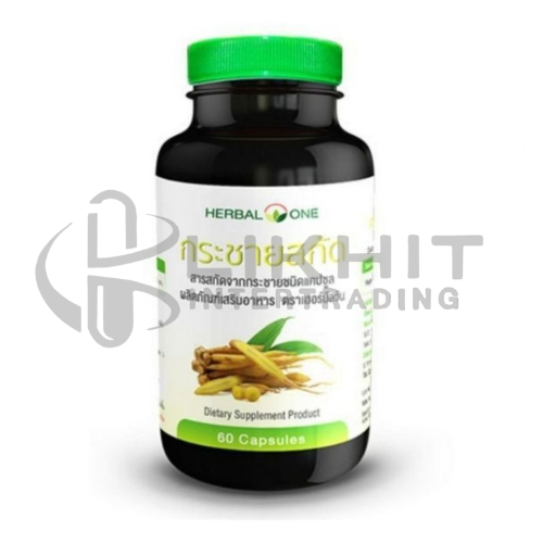 [1760] FINGER ROOT EXTRACT LK กระชายขาว